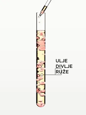 Gloss Absolu Lagano ulje za izrazit sjaj za dugu kosu sklonu kovrdžanju 45 ml